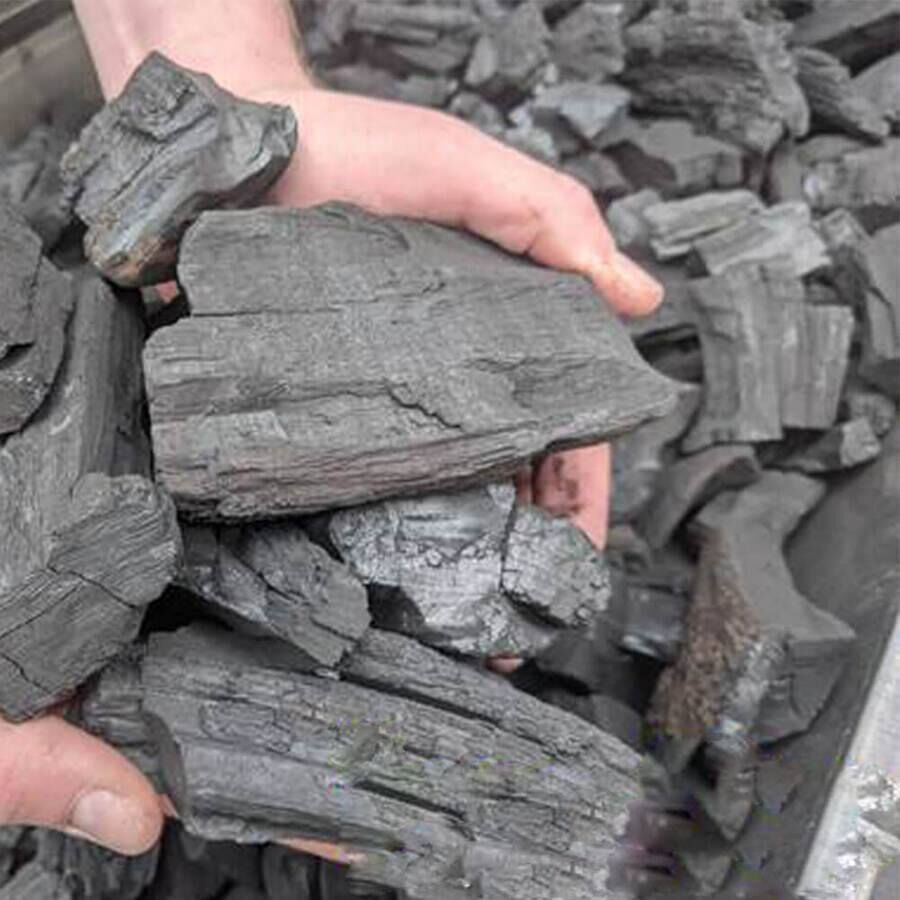 Close-up of Gidgee Charcoal pieces being held by hand, showing dense, heavy hardwood texture ideal for long, consistent heat in BBQ grilling and smoking.