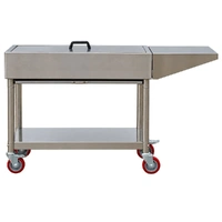 Stainless Steel Charcoal BBQ with Firebricks