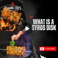 What is a gyros disk image