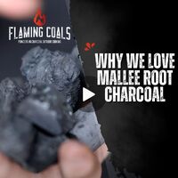 Why We Love Mallee Root Charcoal image
