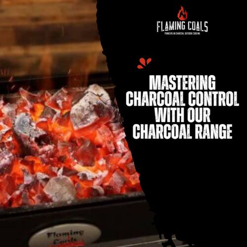 Mastering Charcoal Control with Our Charcoal Range image