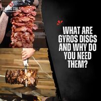 What Are Gyros Discs and Why Do You Need Them? image