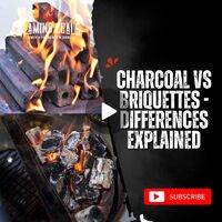 Charcoal vs Briquettes - Differences Explained image