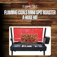 Flaming Coals Mini Spit Roaster A Huge Hit image