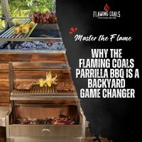 Master the Flame: Why the Flaming Coals Parrilla BBQ Is a Backyard Game Changer image